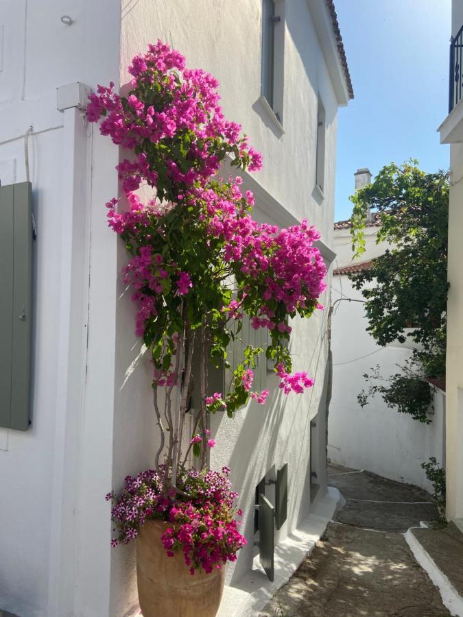 Raphael Skiathos Living-Olga エクステリア 写真