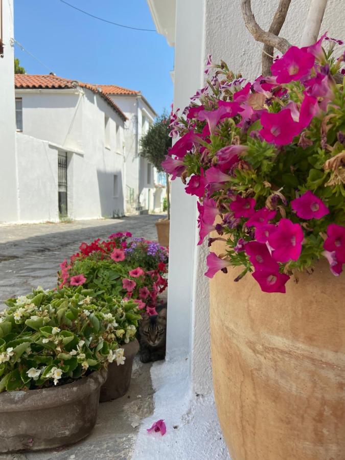 Raphael Skiathos Living-Olga エクステリア 写真